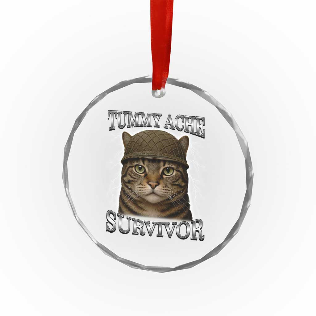 Funny Cat Meme Humor Crystal Glass Ornament Tummy Ache Survivor Lightning Cats Parody TS02 Print Your Wear
