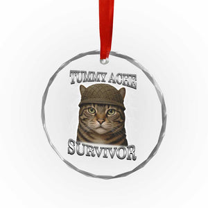 Funny Cat Meme Humor Crystal Glass Ornament Tummy Ache Survivor Lightning Cats Parody TS02 Print Your Wear