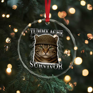 Funny Cat Meme Humor Crystal Glass Ornament Tummy Ache Survivor Lightning Cats Parody TS02 Print Your Wear