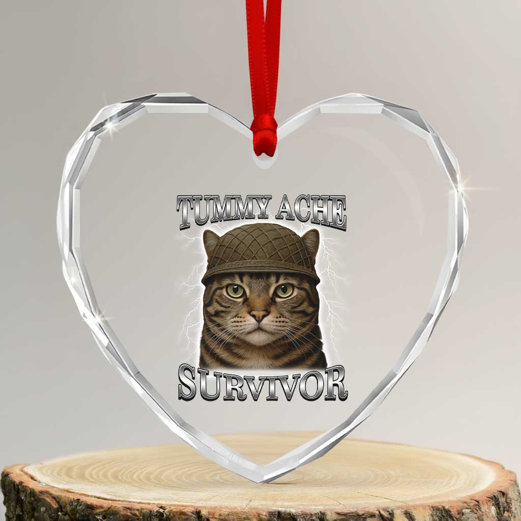 Funny Cat Meme Humor Heart Crystal Glass Ornament Tummy Ache Survivor Lightning Cats Parody TS02 Transparent Glass 3'' Heart Print Your Wear