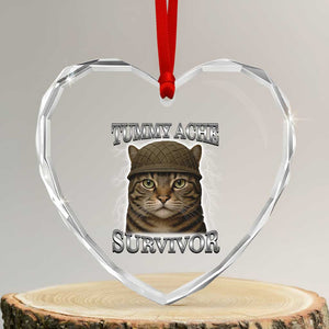 Funny Cat Meme Humor Heart Crystal Glass Ornament Tummy Ache Survivor Lightning Cats Parody TS02 Transparent Glass 3'' Heart Print Your Wear