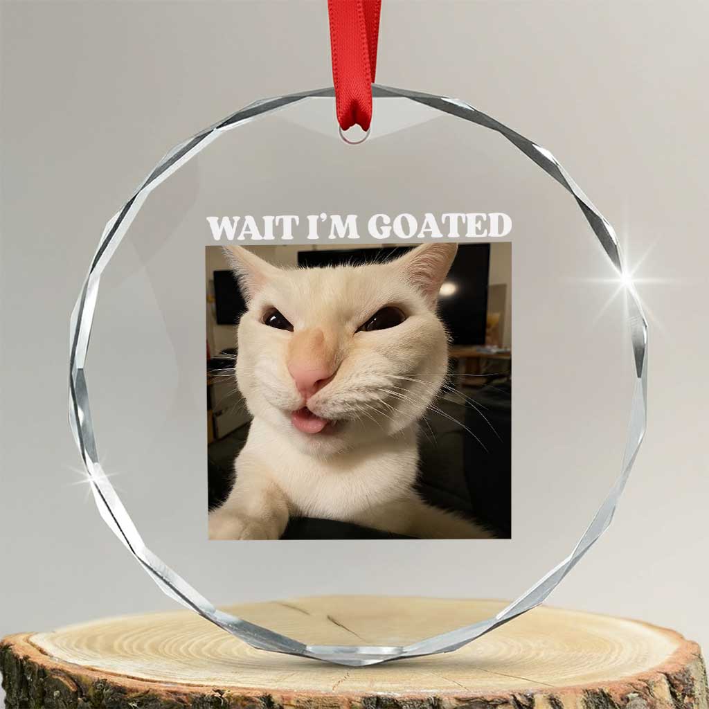 Funny Cat Meme Lover Crystal Glass Ornament TS12 Transparent Glass 3'' Circle Print Your Wear