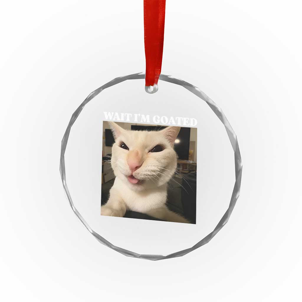 Funny Cat Meme Lover Crystal Glass Ornament