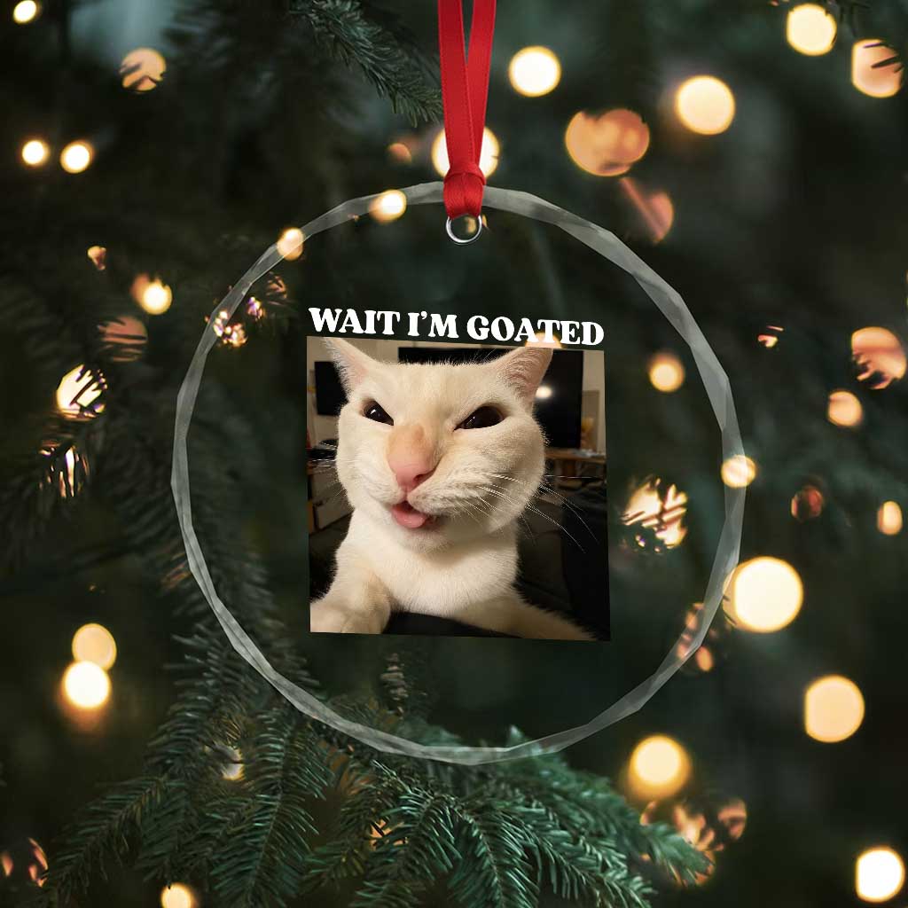 Funny Cat Meme Lover Crystal Glass Ornament
