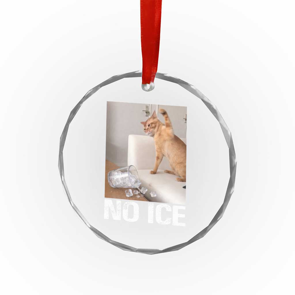 Funny Cat Meme No Ice Crystal Glass Ornament Subtle FDT Political Satire Satirical Humor TS10 Print Your Wear