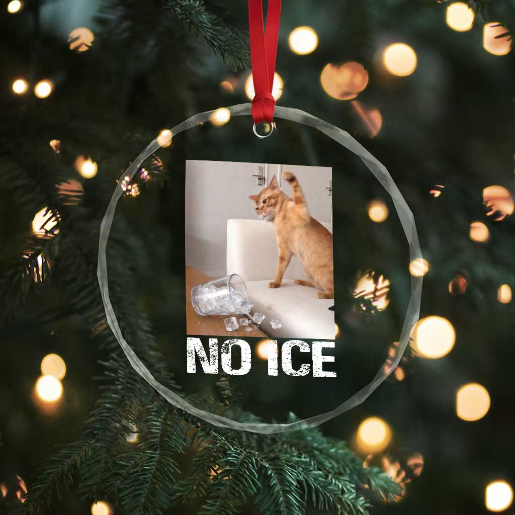 Funny Cat Meme No Ice Crystal Glass Ornament Subtle FDT Political Satire Satirical Humor TS10 Print Your Wear