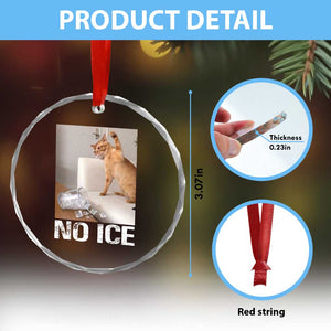Funny Cat Meme No Ice Crystal Glass Ornament Subtle FDT Political Satire Satirical Humor TS10 Print Your Wear