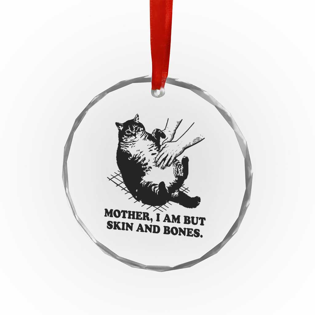 Funny Cat Mom Cat Lover Crystal Glass Ornament Mother I Am But Skin and Bones TS14 Print Your Wear