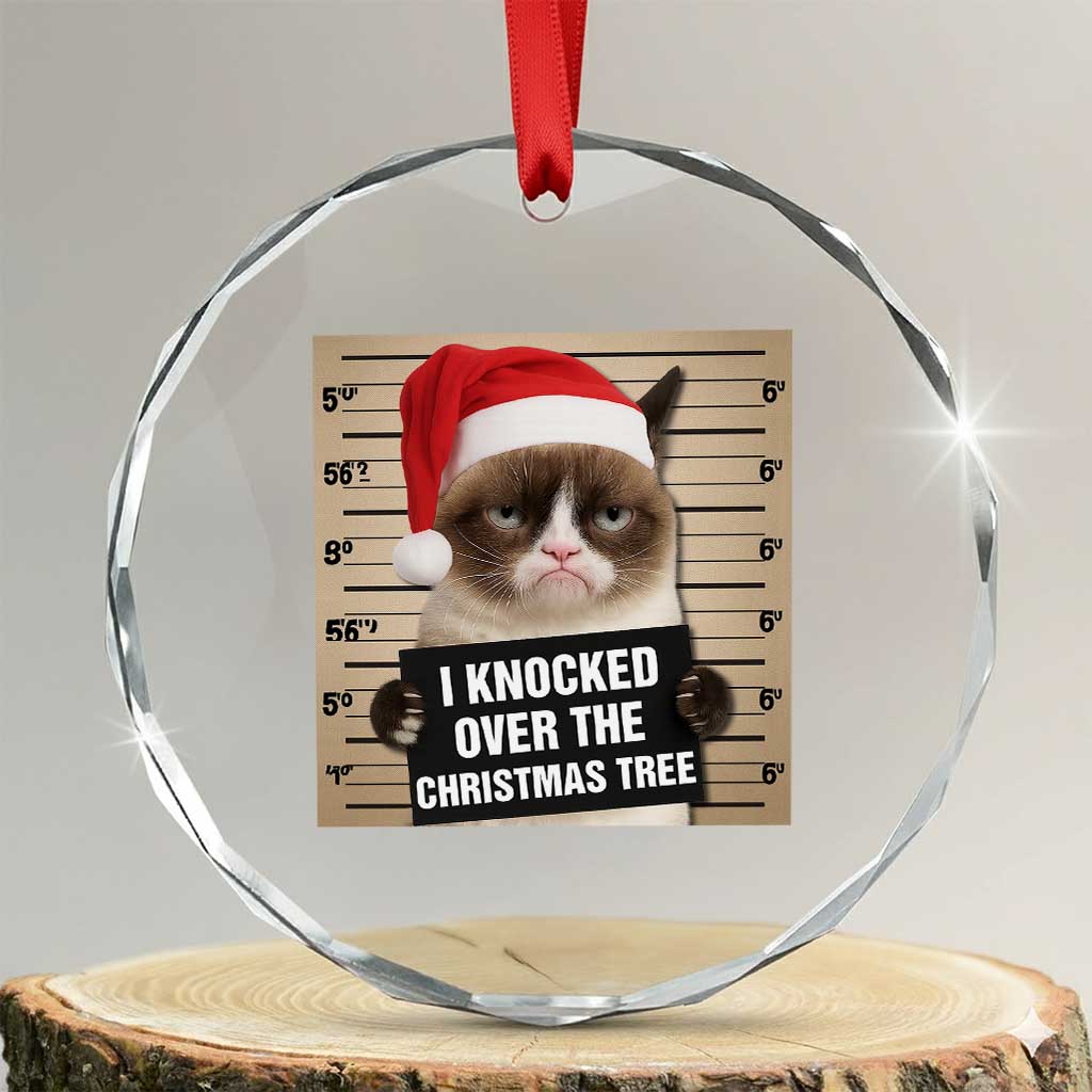 Funny Cat Mugshot Christmas Crystal Glass Ornament I Will Protect You Kitten No Matter What TS14 Transparent Glass 3'' Circle Print Your Wear