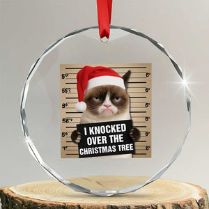 Funny Cat Mugshot Christmas Crystal Glass Ornament I Will Protect You Kitten No Matter What TS14 Transparent Glass 3'' Circle Print Your Wear