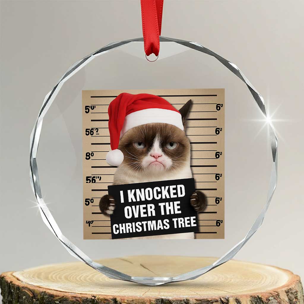Funny Cat Mugshot Christmas Crystal Glass Ornament I Will Protect You Kitten No Matter What TS14 Transparent Glass 3'' Circle Print Your Wear