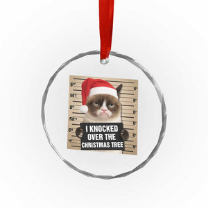 Funny Cat Mugshot Christmas Crystal Glass Ornament I Will Protect You Kitten No Matter What TS14 Print Your Wear