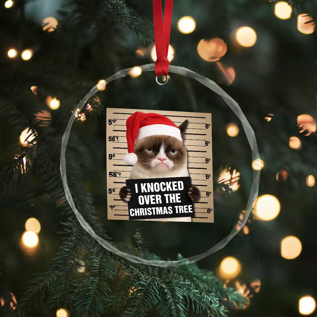 Funny Cat Mugshot Christmas Crystal Glass Ornament I Will Protect You Kitten No Matter What TS14 Print Your Wear