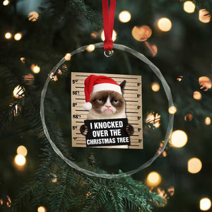 Funny Cat Mugshot Christmas Crystal Glass Ornament I Will Protect You Kitten No Matter What TS14 Print Your Wear