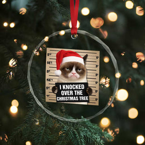 Funny Cat Mugshot Christmas Crystal Glass Ornament I Will Protect You Kitten No Matter What TS14 Print Your Wear