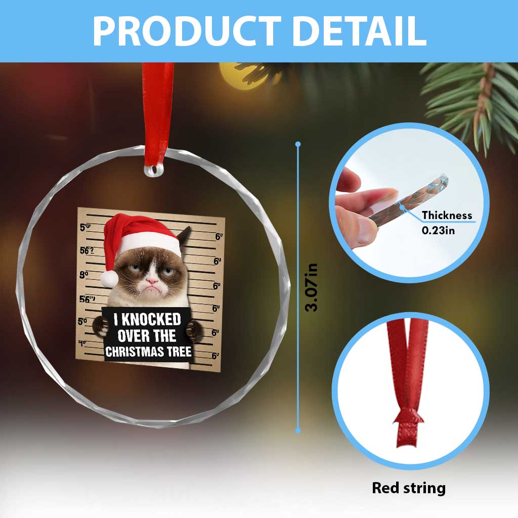 Funny Cat Mugshot Christmas Crystal Glass Ornament I Will Protect You Kitten No Matter What TS14 Print Your Wear