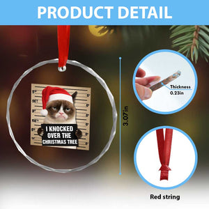 Funny Cat Mugshot Christmas Crystal Glass Ornament I Will Protect You Kitten No Matter What TS14 Print Your Wear