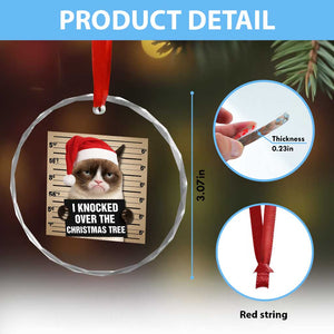 Funny Cat Mugshot Christmas Crystal Glass Ornament I Will Protect You Kitten No Matter What TS14 Print Your Wear