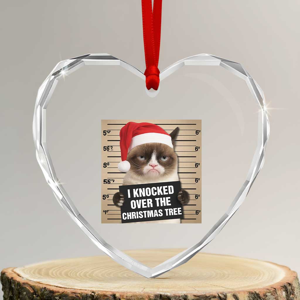 Funny Cat Mugshot Christmas Heart Crystal Glass Ornament I Will Protect You Kitten No Matter What TS14 Transparent Glass 3'' Heart Print Your Wear
