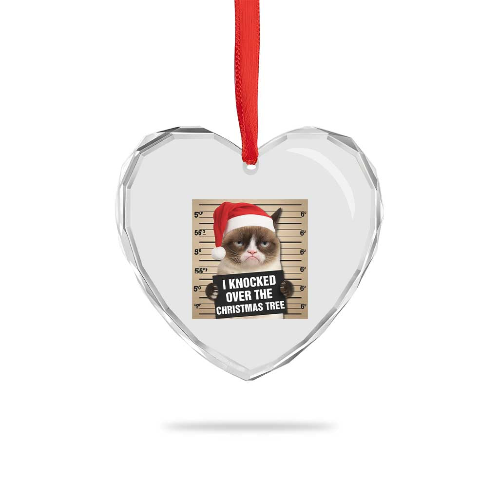 Funny Cat Mugshot Christmas Heart Crystal Glass Ornament I Will Protect You Kitten No Matter What TS14 Print Your Wear