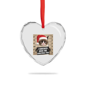 Funny Cat Mugshot Christmas Heart Crystal Glass Ornament I Will Protect You Kitten No Matter What TS14 Print Your Wear