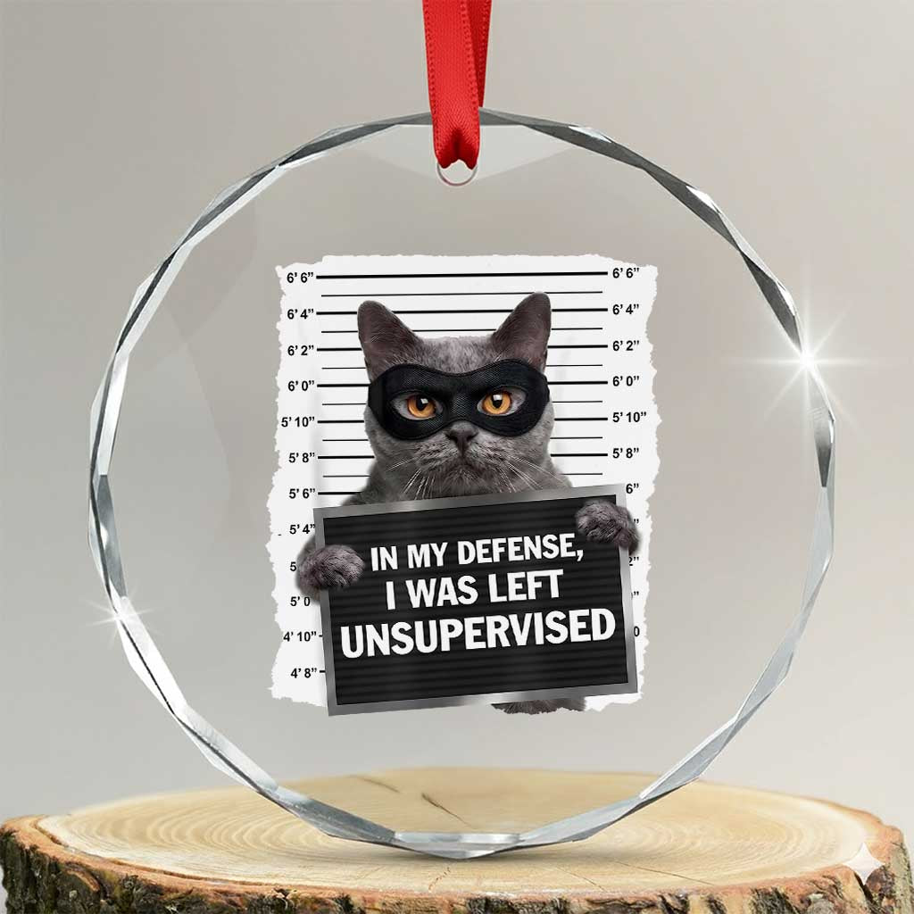 Funny Cat Mugshot Crystal Glass Ornament In My Defense I Was Left Unsupervised TS12 Transparent Glass 3'' Circle Print Your Wear