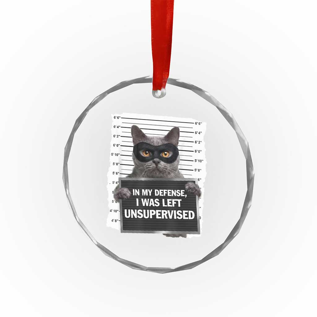 Funny Cat Mugshot Crystal Glass Ornament In My Defense I Was Left Unsupervised TS12 Print Your Wear