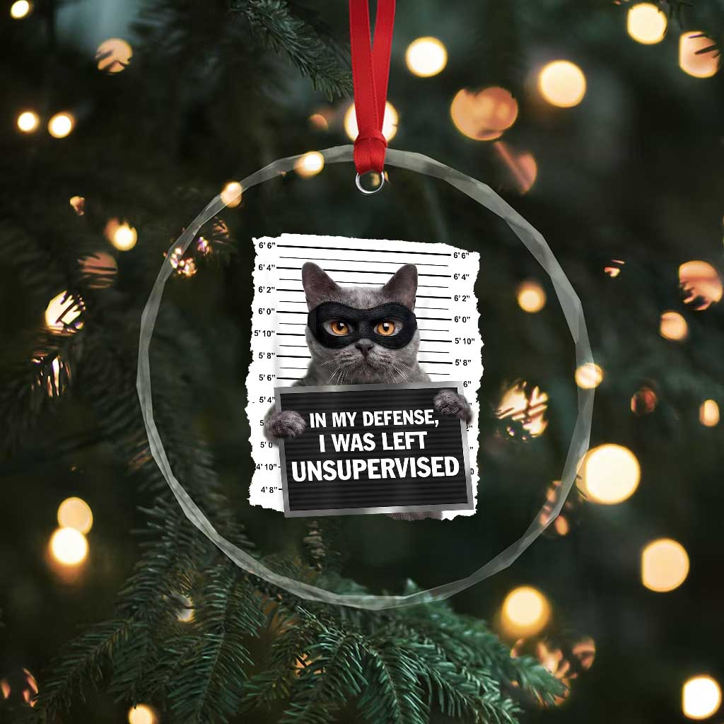 Funny Cat Mugshot Crystal Glass Ornament In My Defense I Was Left Unsupervised TS12 Print Your Wear