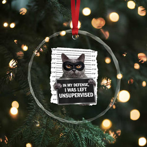 Funny Cat Mugshot Crystal Glass Ornament In My Defense I Was Left Unsupervised TS12 Print Your Wear