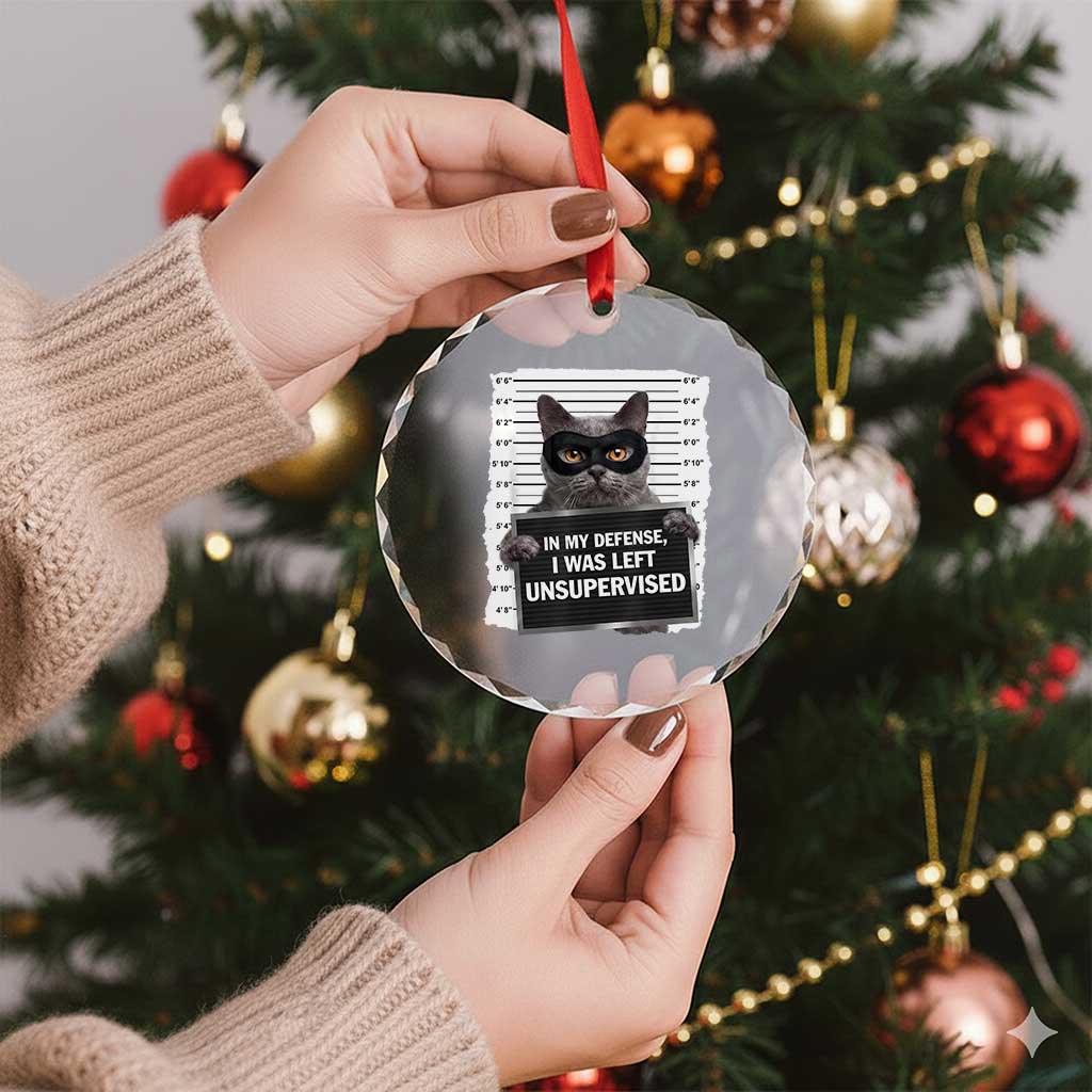 Funny Cat Mugshot Crystal Glass Ornament In My Defense I Was Left Unsupervised TS12 Print Your Wear