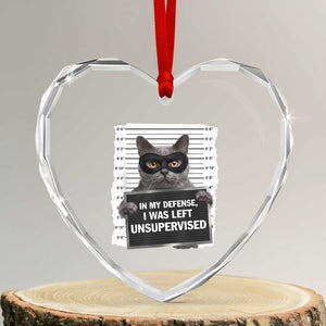 Funny Cat Mugshot Heart Crystal Glass Ornament In My Defense I Was Left Unsupervised TS12 Transparent Glass 3'' Heart Print Your Wear