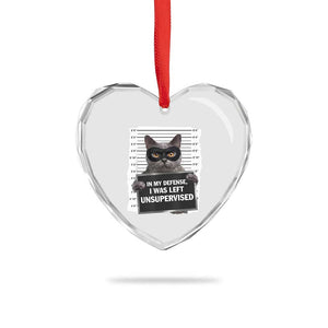 Funny Cat Mugshot Heart Crystal Glass Ornament In My Defense I Was Left Unsupervised TS12 Print Your Wear