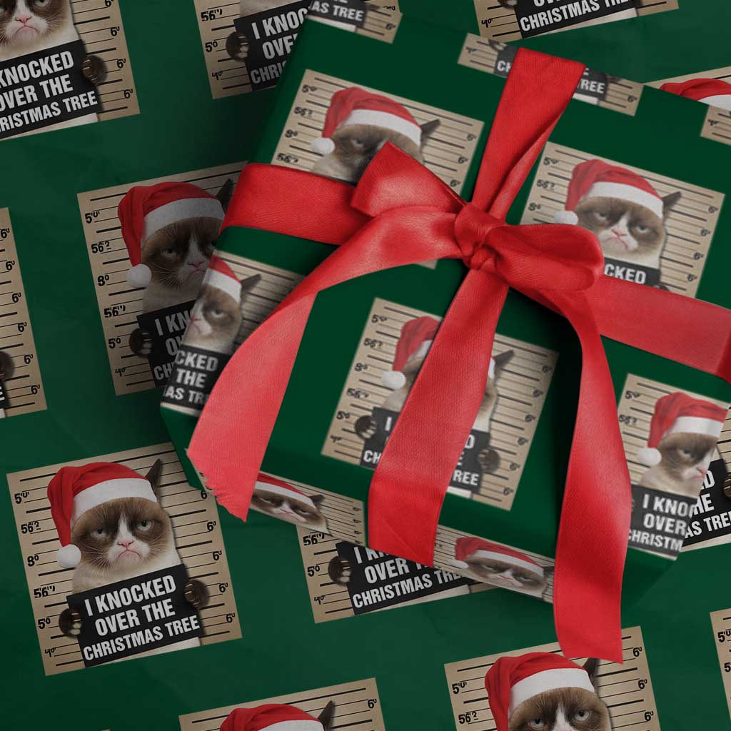 Funny Cat Mugshot Xmas Wrapping Paper Roll I Will Protect You Kitten No Matter What TS14 Green Print Your Wear