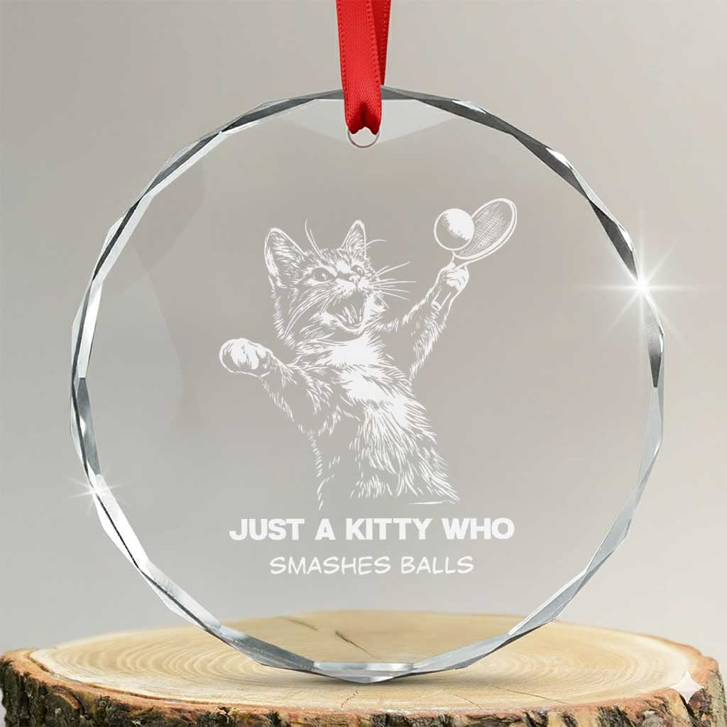 Funny Cat Plays Tennis Crystal Glass Ornament Just A Kitty Who Smashes Balls TS12 Transparent Glass 3'' Circle Print Your Wear