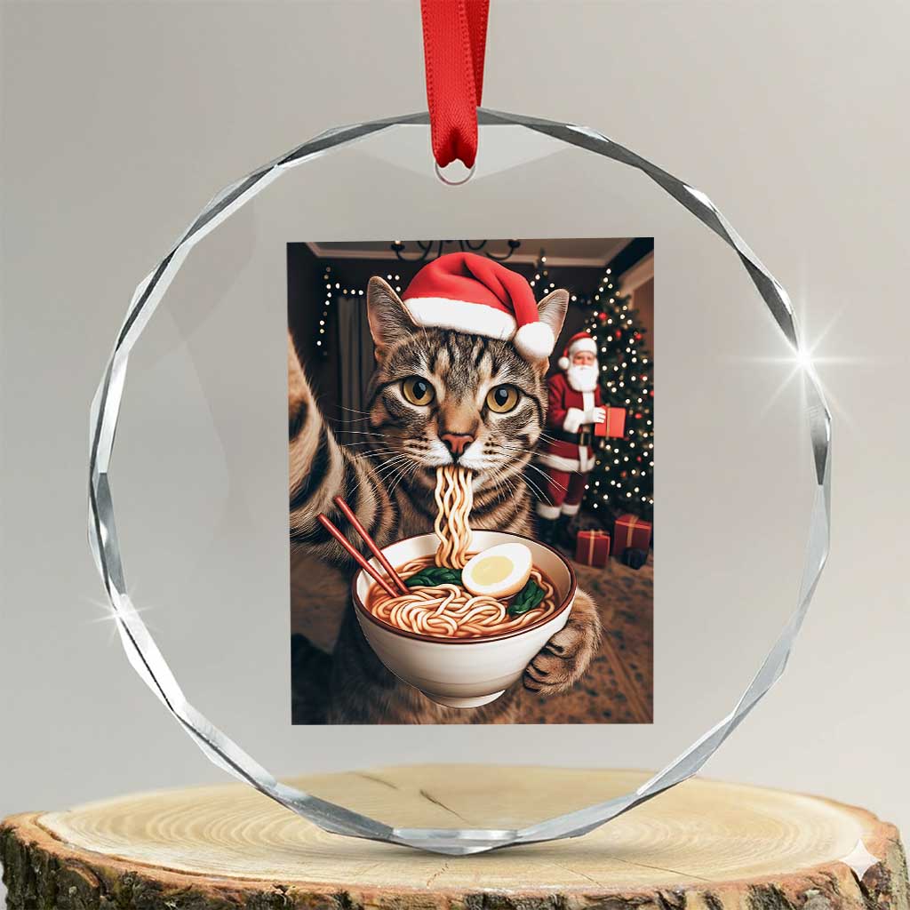 Funny Cat Ramen Selfie With Santa Christmas Crystal Glass Ornament TS14 Transparent Glass 3'' Circle Print Your Wear