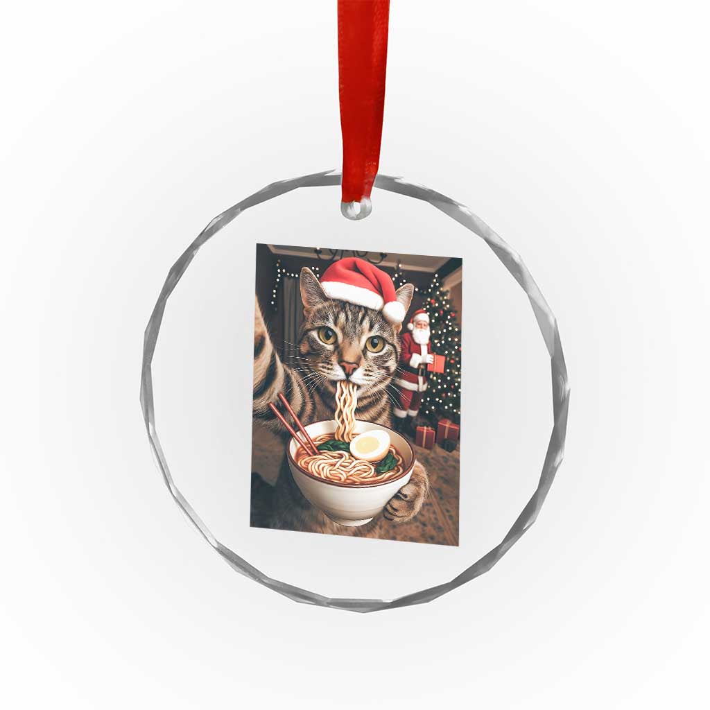 Funny Cat Ramen Selfie With Santa Christmas Crystal Glass Ornament TS14 Print Your Wear