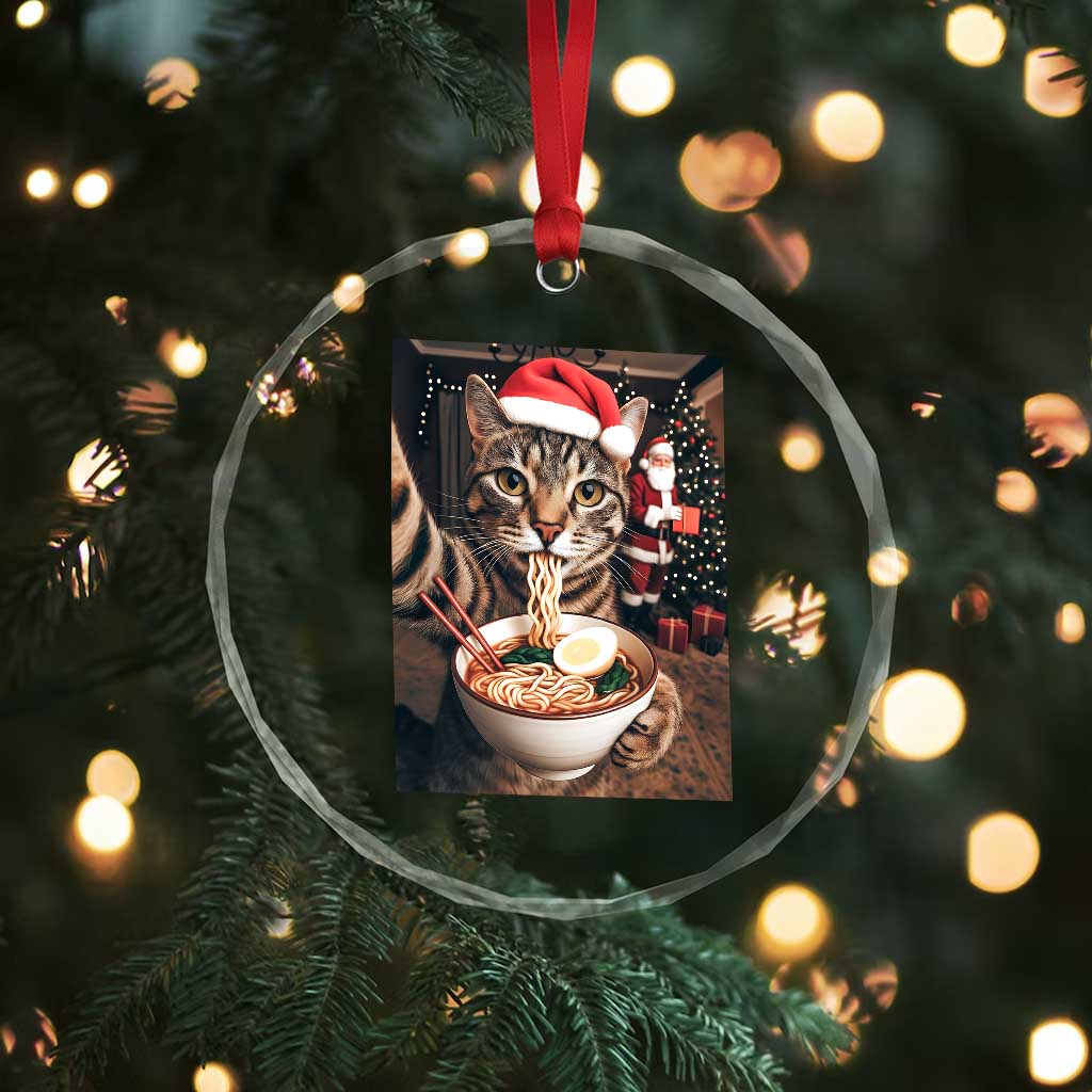 Funny Cat Ramen Selfie With Santa Christmas Crystal Glass Ornament TS14 Print Your Wear