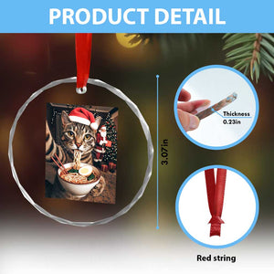 Funny Cat Ramen Selfie With Santa Christmas Crystal Glass Ornament TS14 Print Your Wear