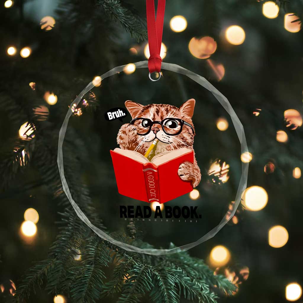 Funny Cat Reading Crystal Glass Ornament Book Lover TS14 Print Your Wear