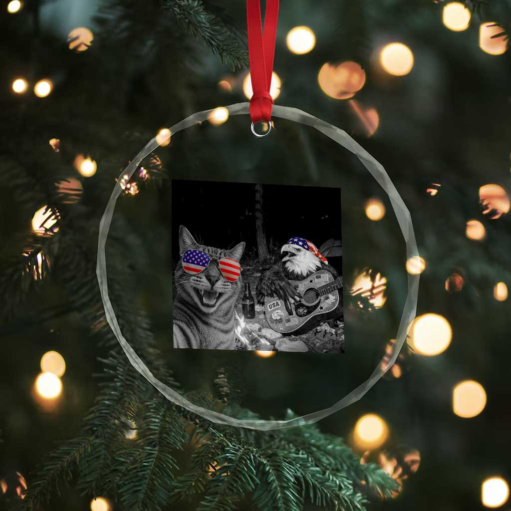 Funny Cat Selfie 4th of July Crystal Glass Ornament Patriotic Eagle American Flag Gift TS14 Print Your Wear