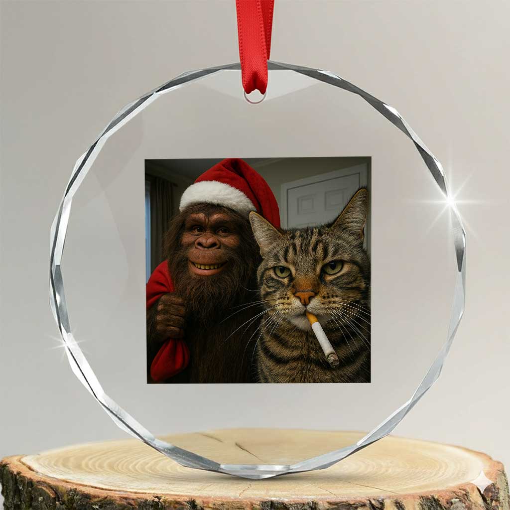 Funny Cat Selfie Bigfoot Christmas Sasquatch Crystal Glass Ornament TS14 Transparent Glass 3'' Circle Print Your Wear