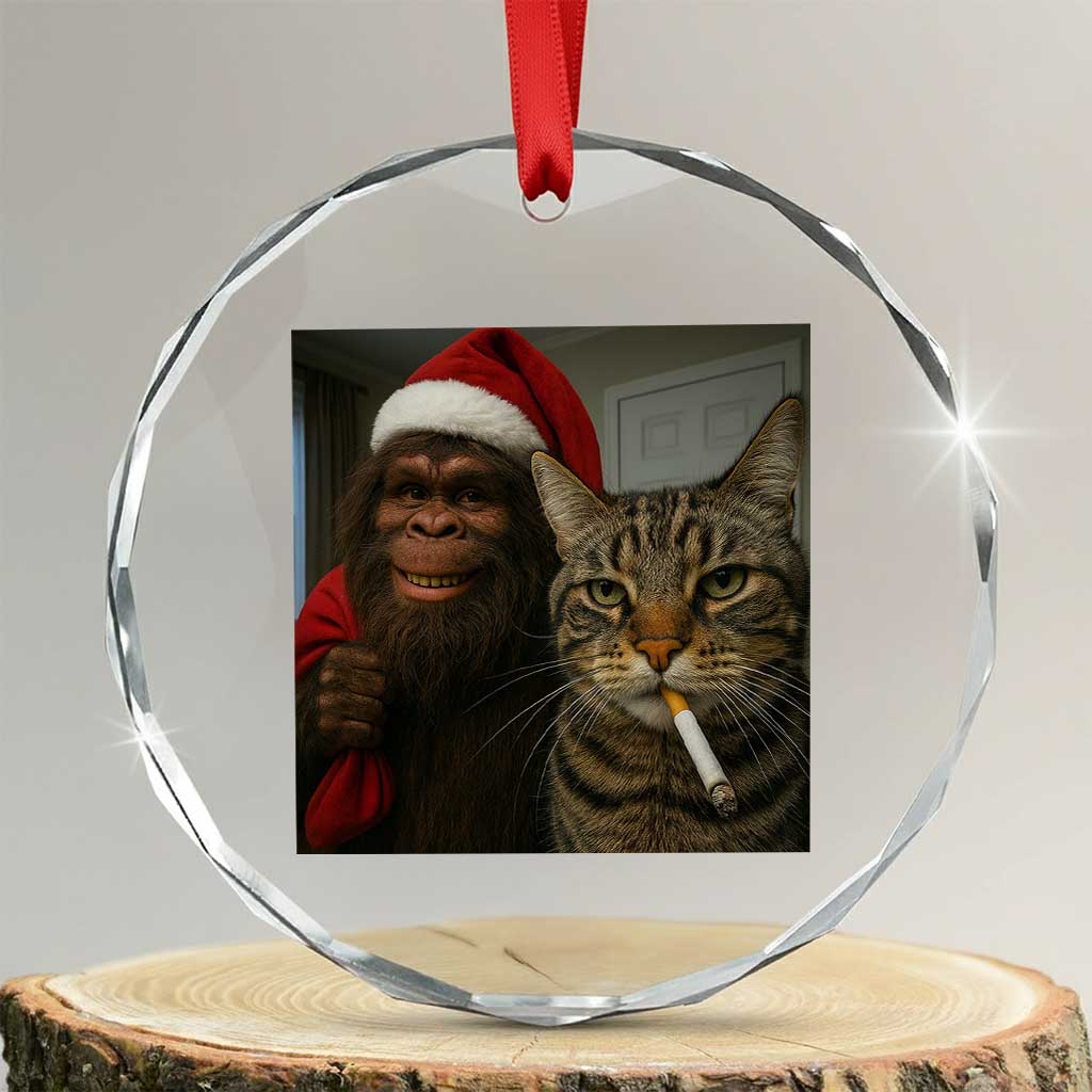 Funny Cat Selfie Bigfoot Christmas Sasquatch Crystal Glass Ornament TS14 Transparent Glass 3'' Circle Print Your Wear