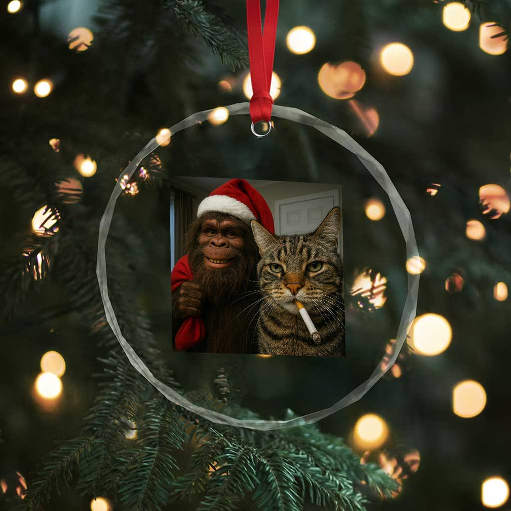 Funny Cat Selfie Bigfoot Christmas Sasquatch Crystal Glass Ornament TS14 Print Your Wear