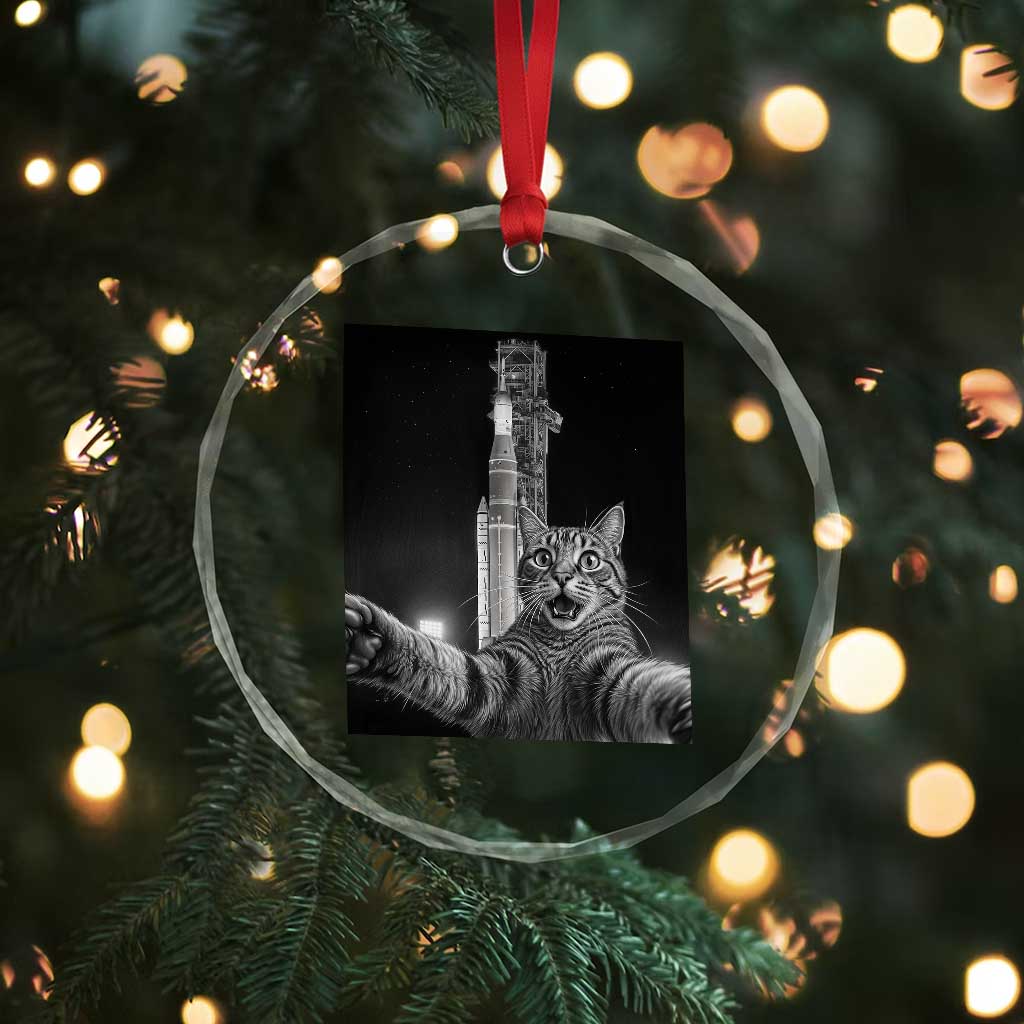Funny Cat Selfie Lunar Mission 2026 Crystal Glass Ornament TS14 Print Your Wear