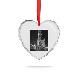 Funny Cat Selfie Lunar Mission 2026 Heart Crystal Glass Ornament TS14 Print Your Wear