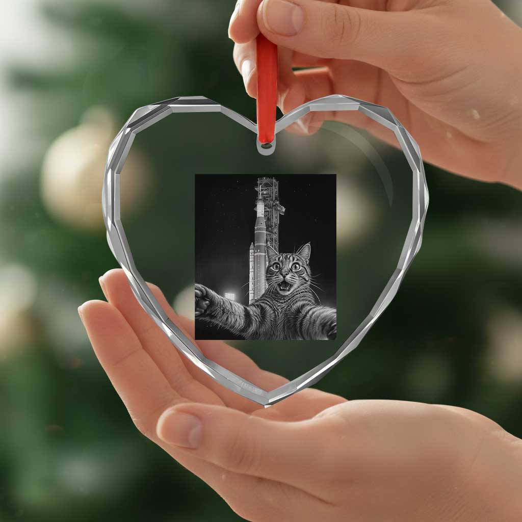 Funny Cat Selfie Lunar Mission 2026 Heart Crystal Glass Ornament TS14 Print Your Wear