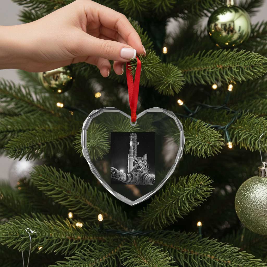 Funny Cat Selfie Lunar Mission 2026 Heart Crystal Glass Ornament TS14 Print Your Wear