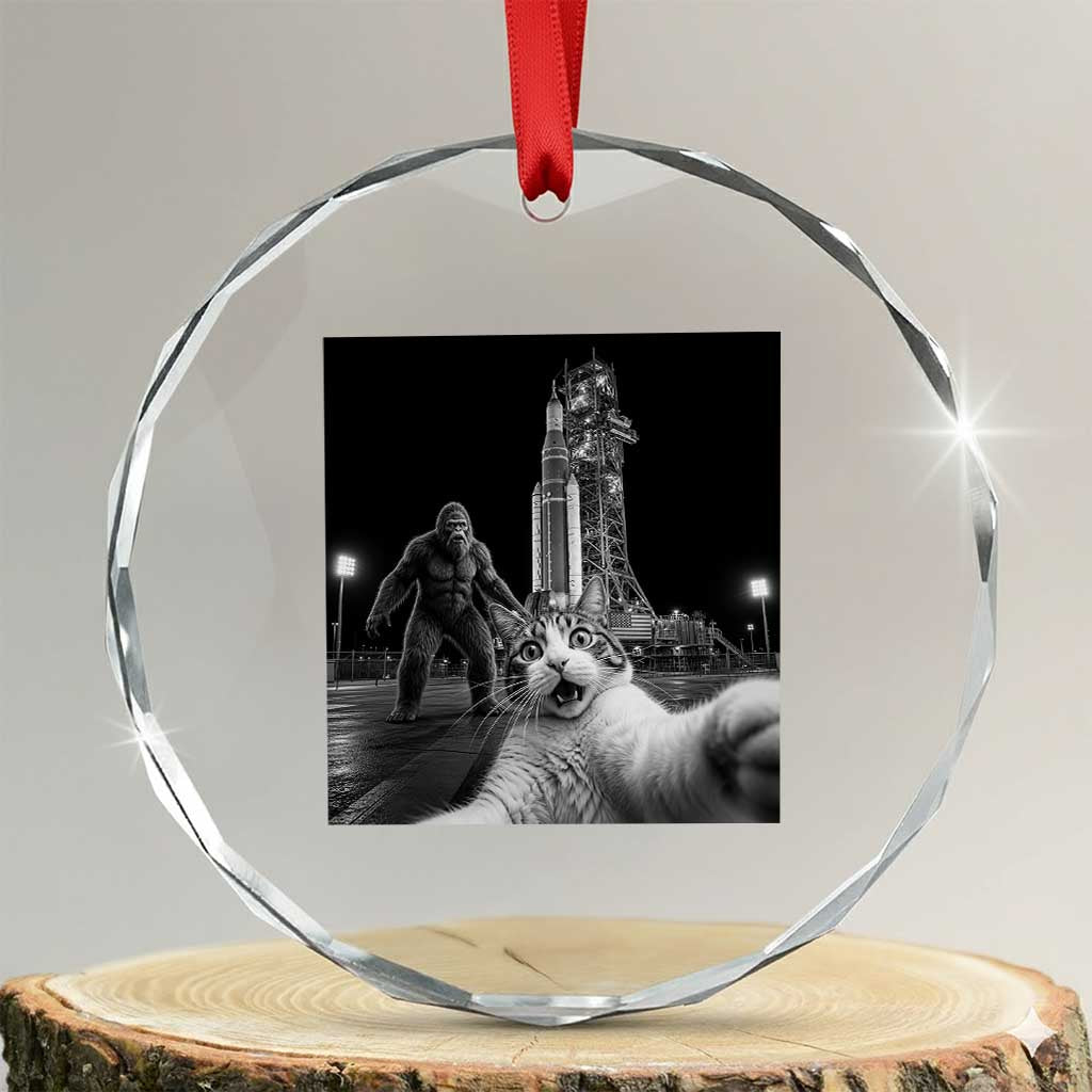 Funny Cat Selfie with Bigfoot Crystal Glass Ornament Back To The Moon Mission 2026 TS14 Transparent Glass 3'' Circle Print Your Wear