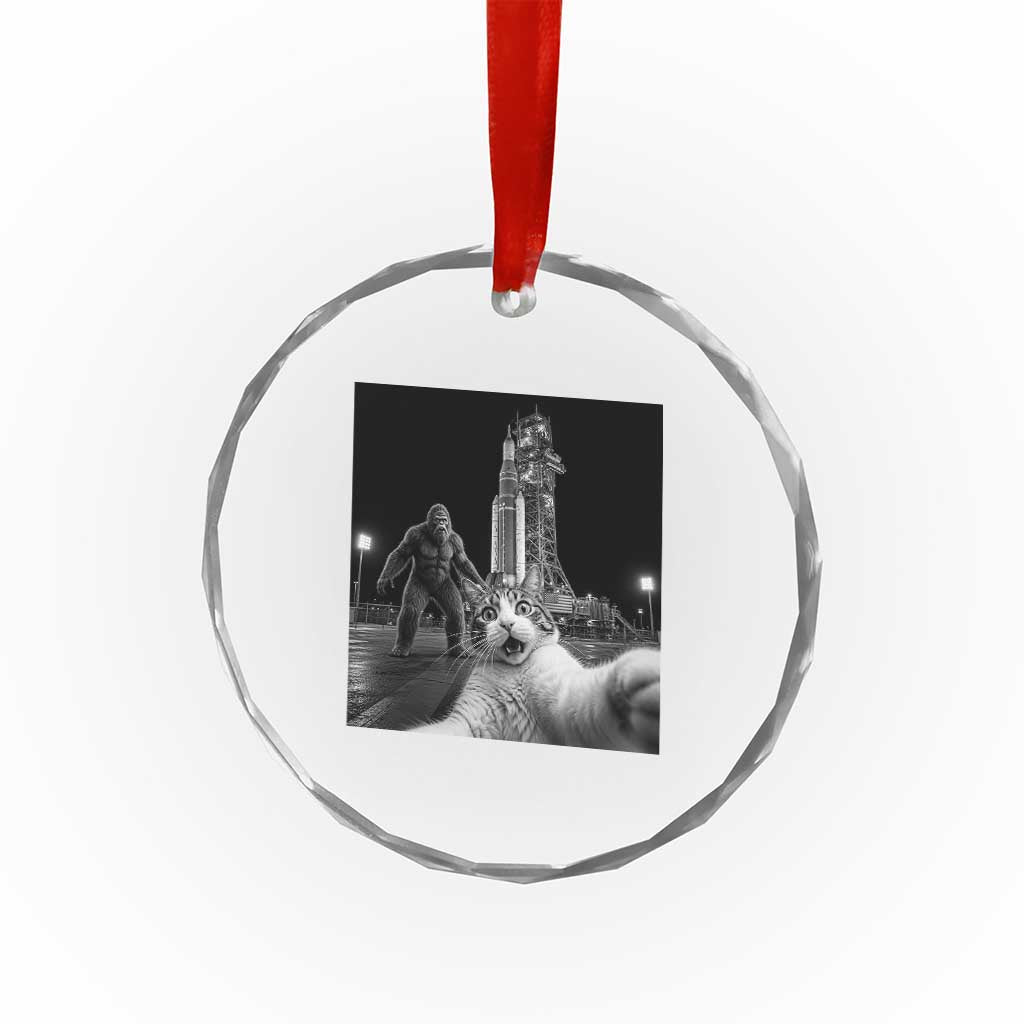 Funny Cat Selfie with Bigfoot Crystal Glass Ornament Back To The Moon Mission 2026 TS14 Print Your Wear