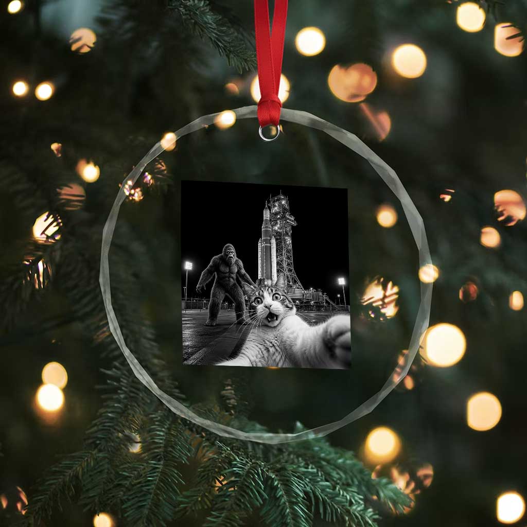 Funny Cat Selfie with Bigfoot Crystal Glass Ornament Back To The Moon Mission 2026 TS14 Print Your Wear